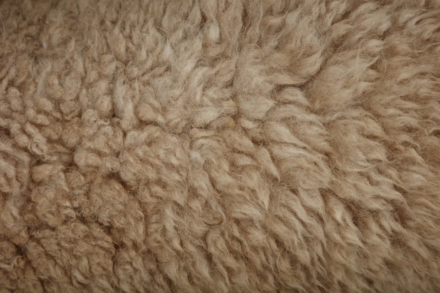 Parlak dokulu bambu halı ve yanında mat yün halı yan yana